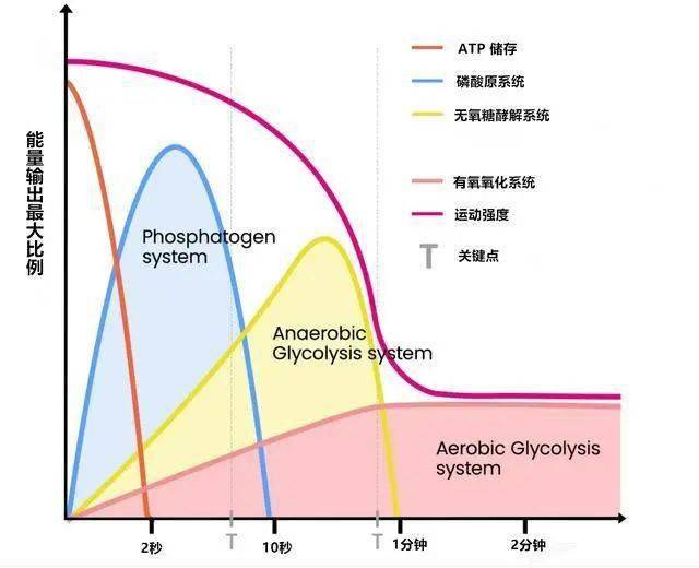 运动后血氧低于90正常吗_膜法制氧富氧燃烧需要什么设备_有氧运动需要天天做吗