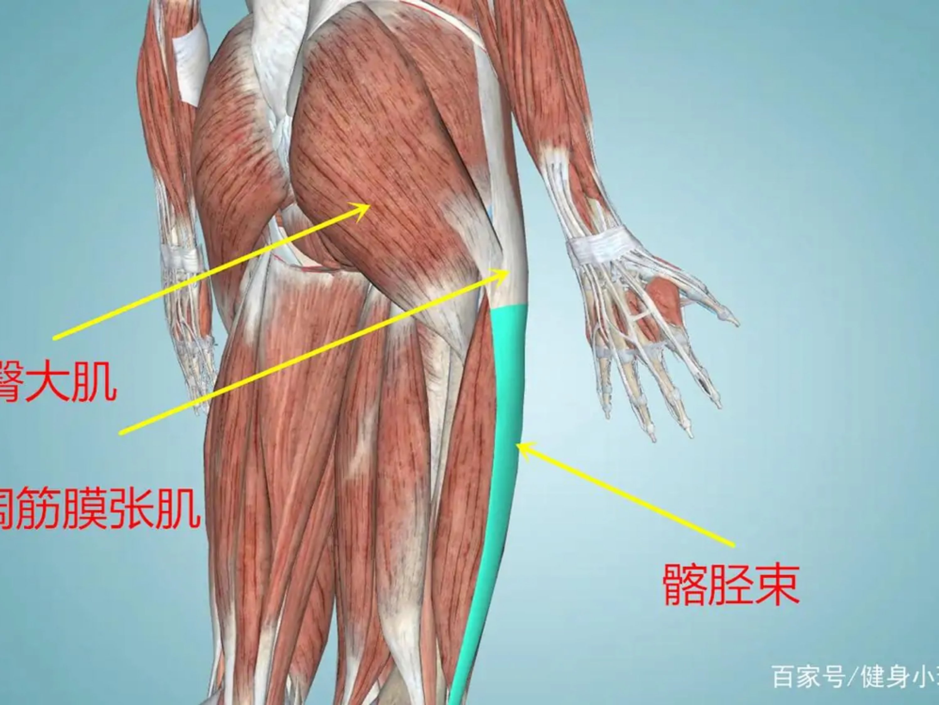 引体向上助力带哪种好_健身助力带哪个牌子好_空调风向上吹好还是向下吹好