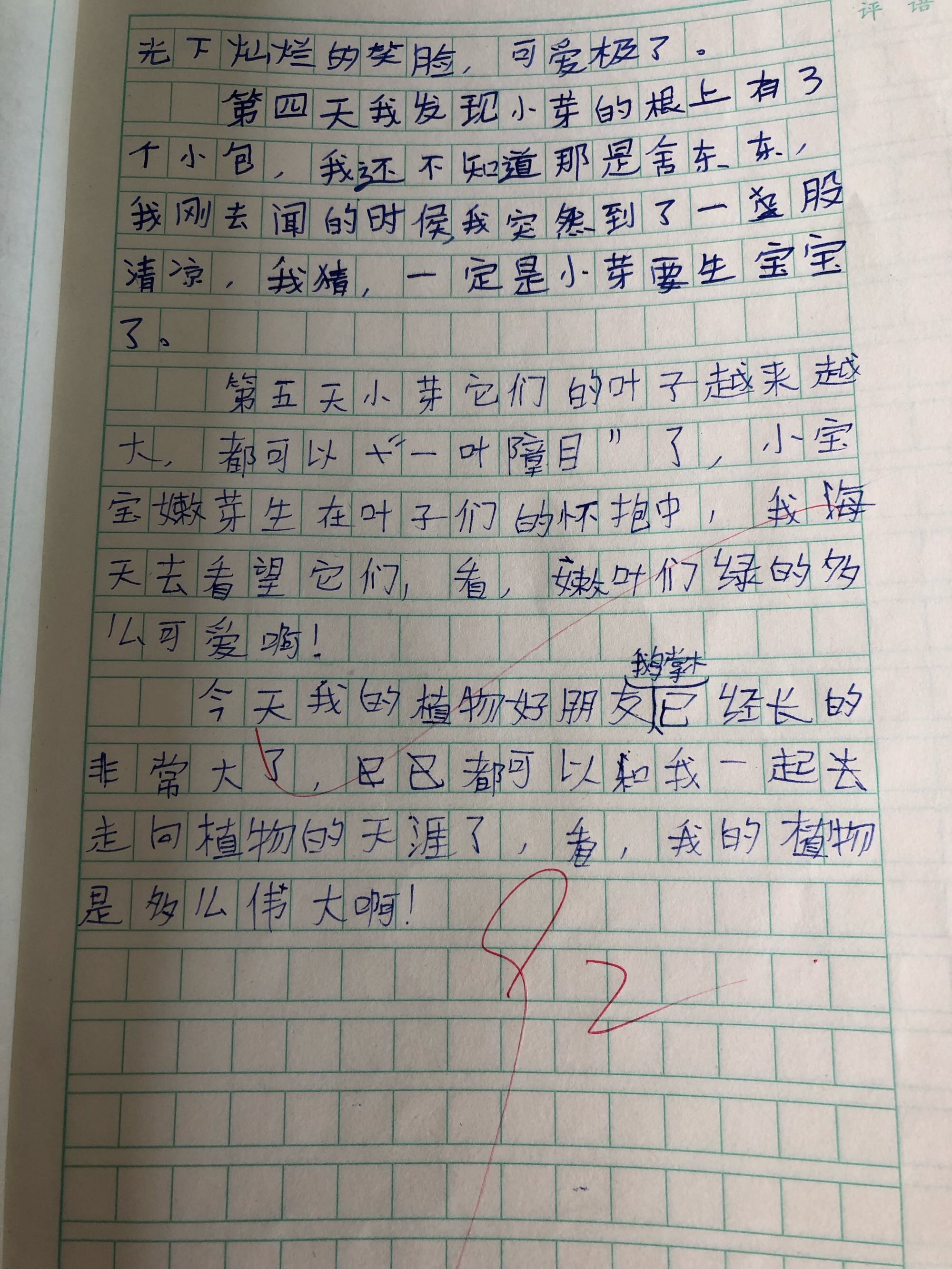 100字动物观察日记蜗牛_观察日记100字小动物_观察日记观察动物日记100