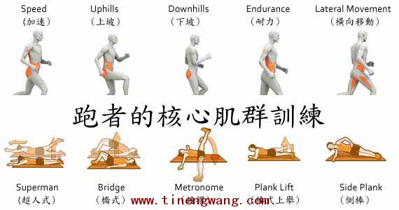 腹肌训练动作八个动作_平衡性训练动作有哪些_平衡功能训练