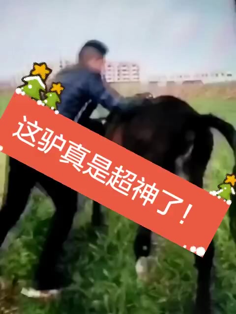 梦见火没着起来扑灭了_快手怎么火不起来_快手超火百变围巾