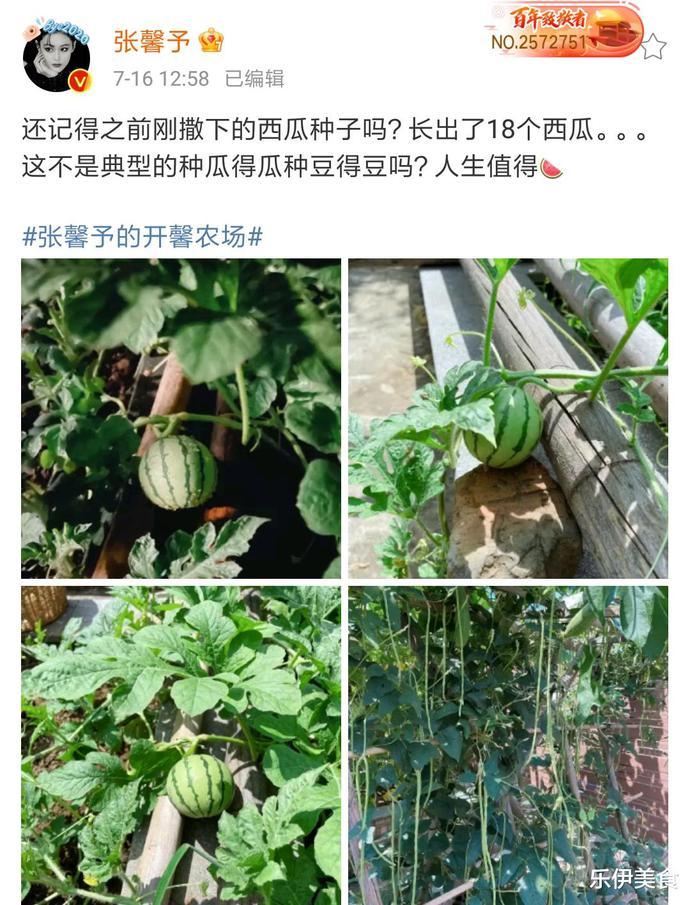 快手刷播放量和赞_快手刷点击量软件_qq名片赞刷赞软件