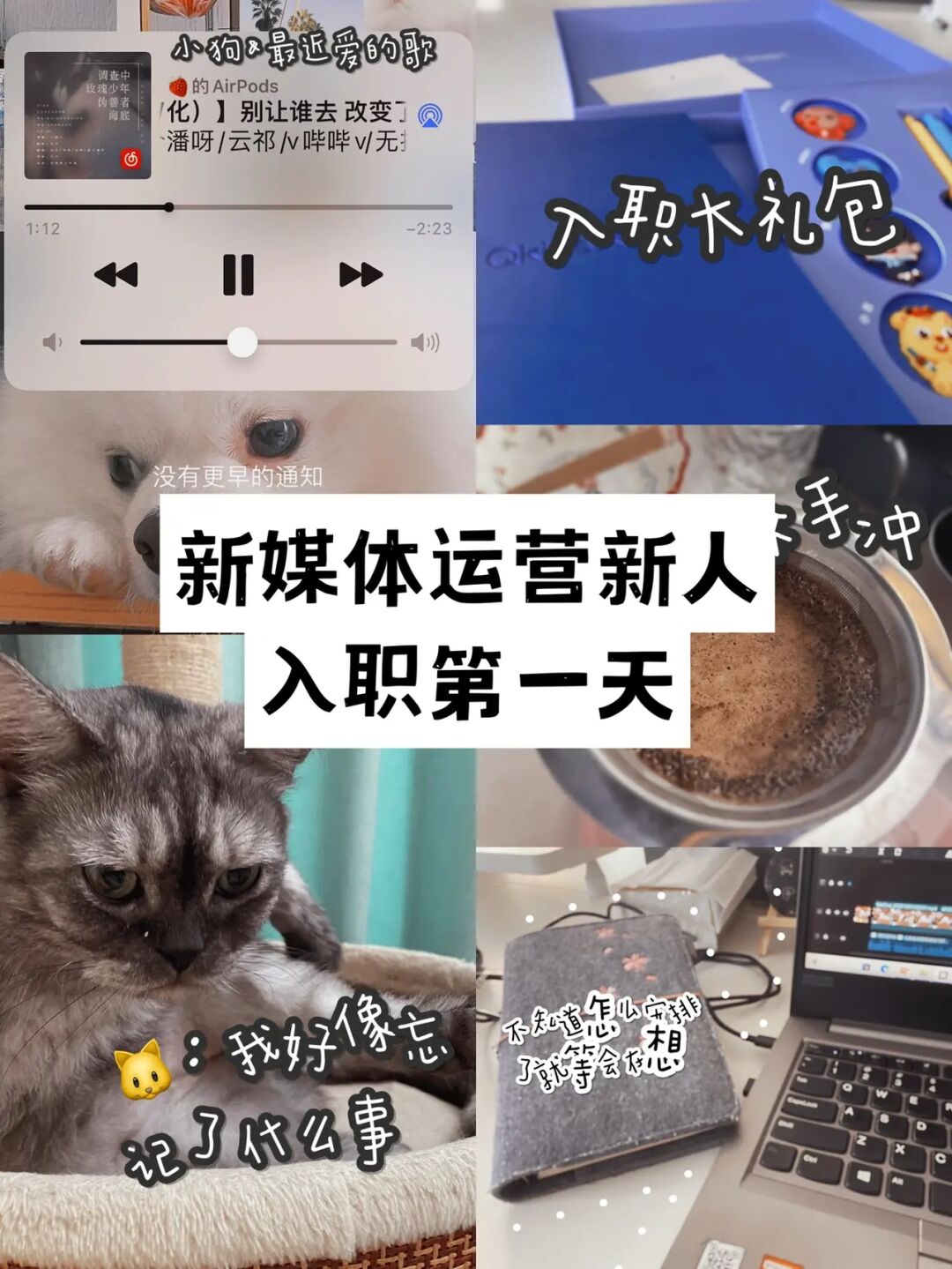 抖音怎么用照片做视频_is语音抖音点赞是真的吗_快手抖音点赞做任务的