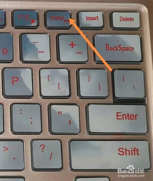 苹果电脑option键 前往_苹果电脑替换快捷键_电脑快捷删除是哪个键