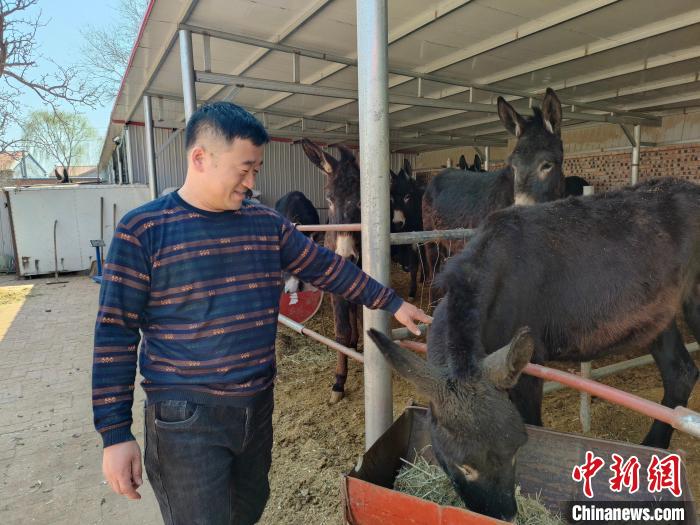 冤家夫妻金牌档全集_台卅大厅吊灯店间免费蒲货_快手主播二驴怎么了