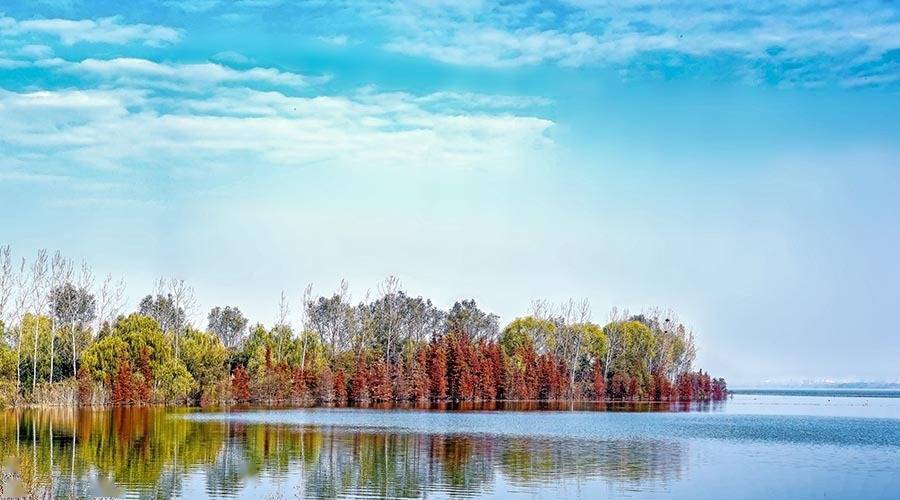 巢湖金孔雀温泉旅游攻略_巢湖孔雀度假山庄_巢湖金孔雀温泉度假村