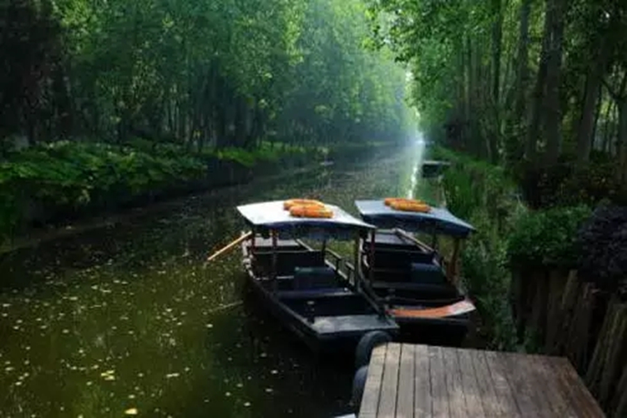 巢湖金孔雀温泉度假村_巢湖金孔雀温泉旅游攻略_巢湖孔雀度假山庄