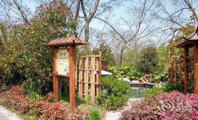 巢湖金孔雀温泉旅游攻略_巢湖孔雀度假山庄_合肥金孔雀温泉
