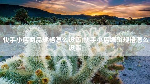 商城进入赞快手有提示吗_快手下单赞_快手有赞商城怎么进入