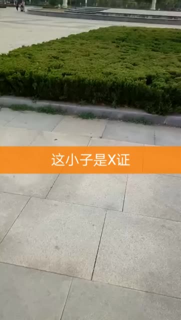 快手买的赞有用吗_怎么买快手的赞_快手赞购买平台