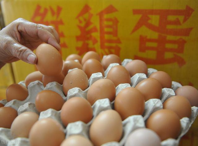 涨姿势官网美食_富贵涨易v官方下载_易涨网