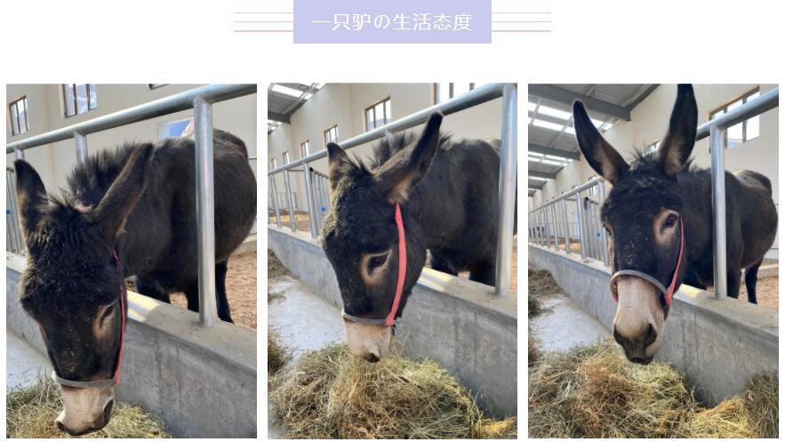 快手买个赞_快手赞在哪里买_快手买的赞有用吗