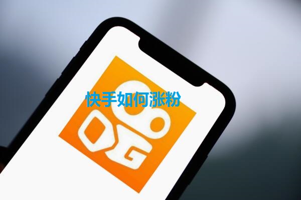 快手粉丝5千_快手粉丝过5000_快手粉丝一元5000个不掉粉