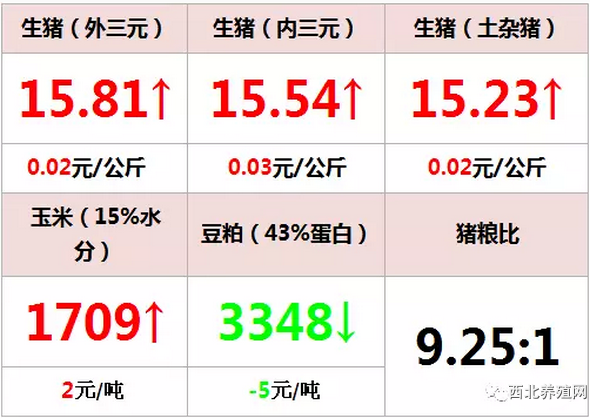 啊好涨满了跳蛋腐书网_易涨网_108种易涨k线组合图