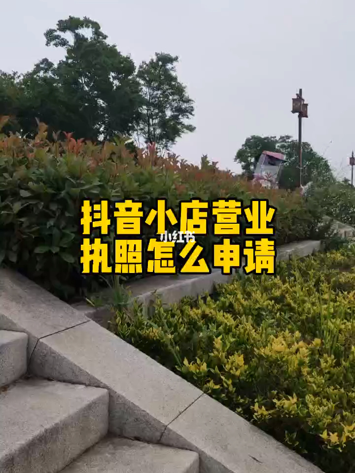 抖音点赞24小时下单诚信网站_抖音点赞下单网站_抖音赞购买网站