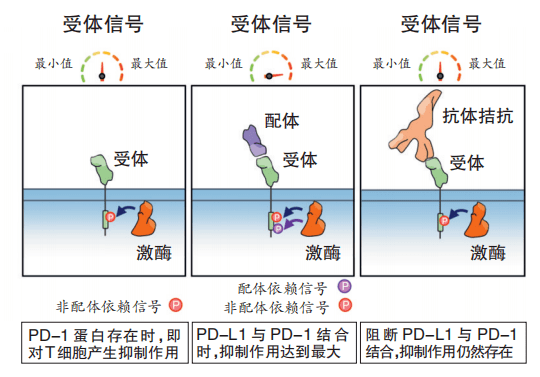 2021最新引流科技_什么叫黑科技引流_引流黑科技app