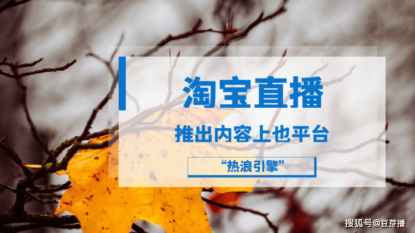 买快手粉条可以上热门吗_热门粉条快手买上可以退货吗_热门粉条快手买上可以退款吗