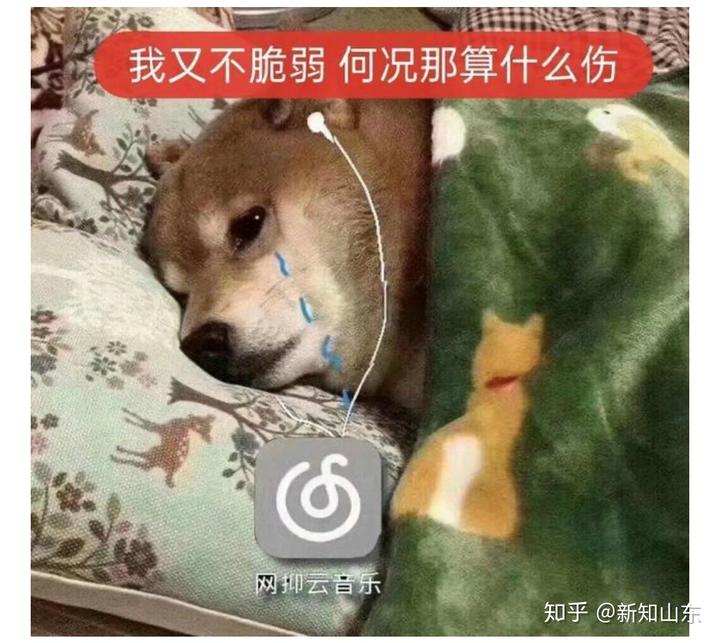 云音网络点赞_qq名片赞快速点赞软件_点赞赚钱一个赞6分钱