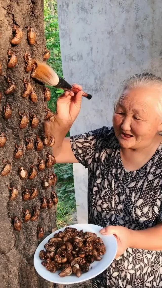 快手粉丝什么意思怎么挣钱_快手涨粉教学是真的吗_8元一万快手粉丝教学