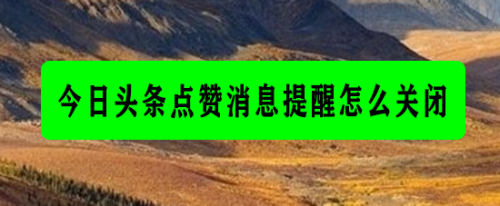 扣扣说说买赞_qq推送朋友点赞是实时的吗_买QQ说说赞是给自己好友推吗