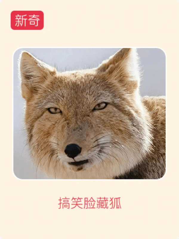 快手怎么拍段子上热门_今日热门段子_花椒直播上反复上热门