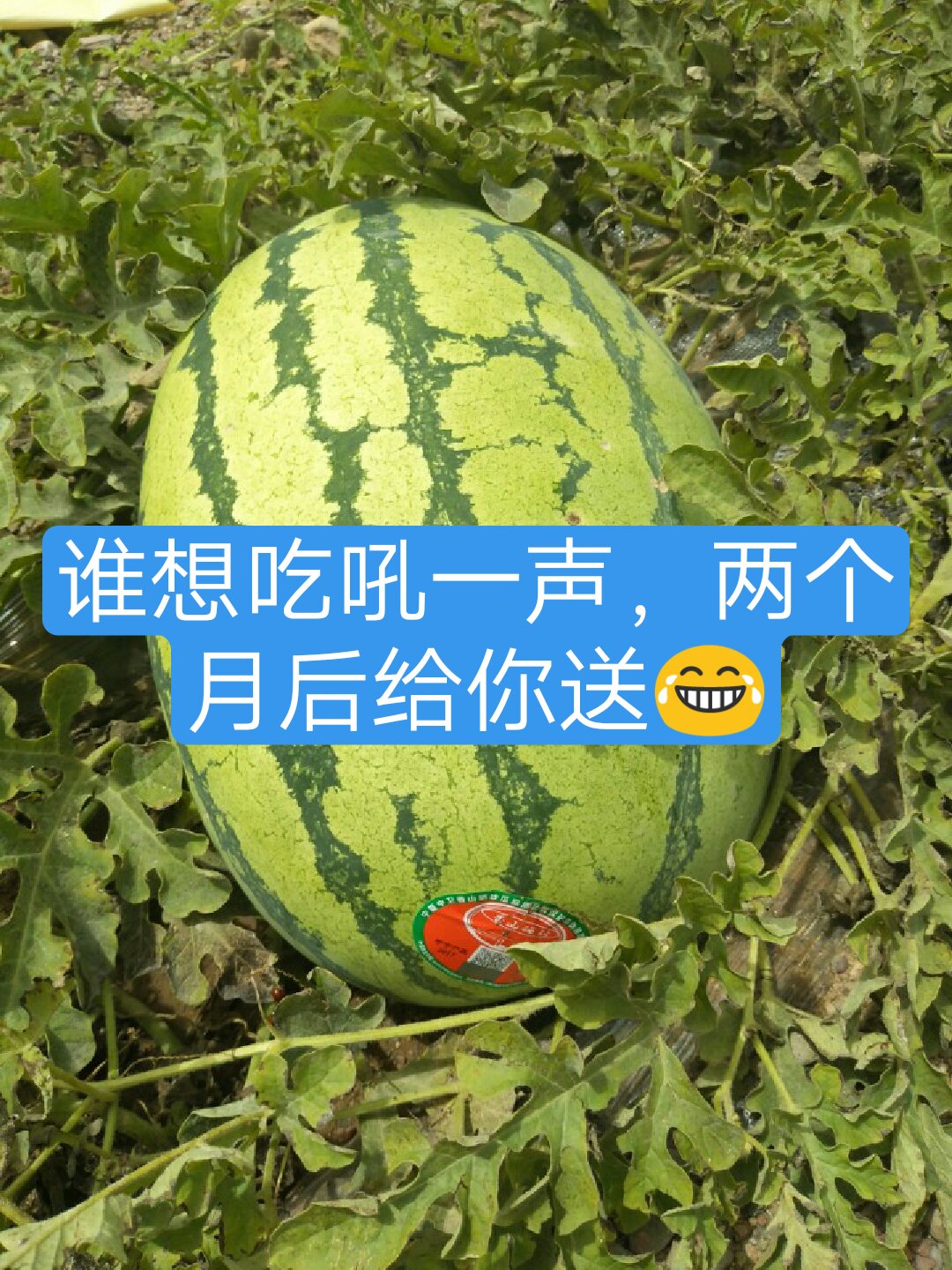 热门能快手时候播放吗_热门能快手时候发作品吗_快手什么时候能热门