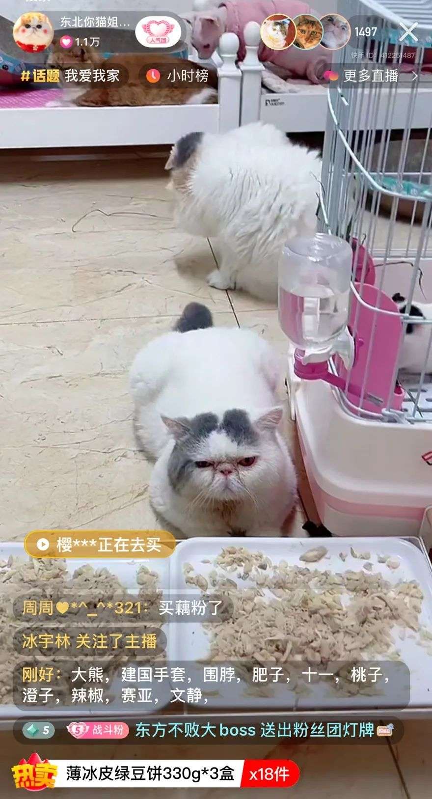 买表去哪个网站买可靠_快手怎么买粉丝可靠吗?_在那个网站买奶粉可靠