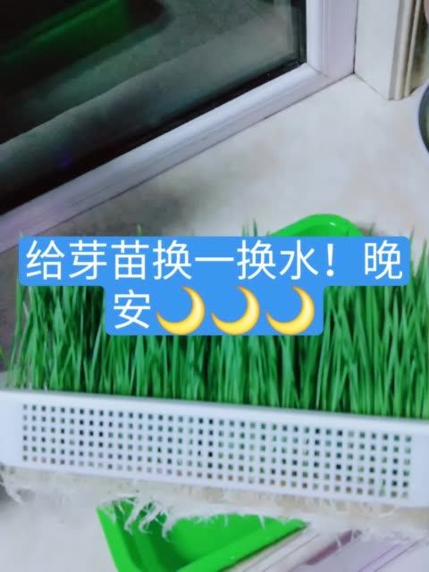 快手容易上热门_快手上热门是怎么回事_快手老不上热门