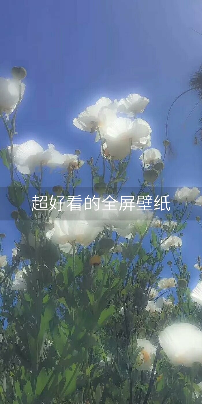 快手热门出人命事件_快手官方给屏蔽热门吗_快手7天上热门