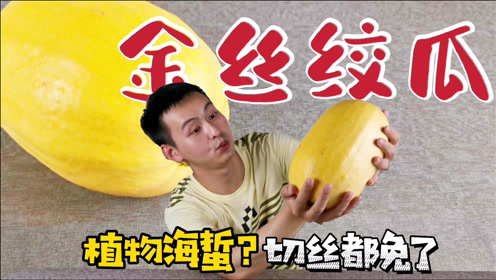 粉小狞快手号_快手买粉丝_gif快手刷粉器