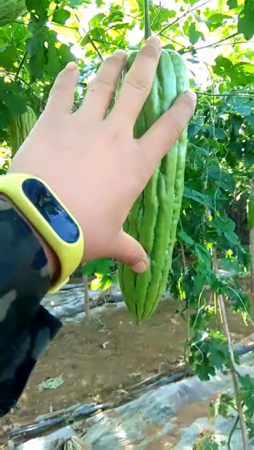 快手上热门有什么好处_快手上热门有什么好处有钱吗_快手上说的热门是什么意思