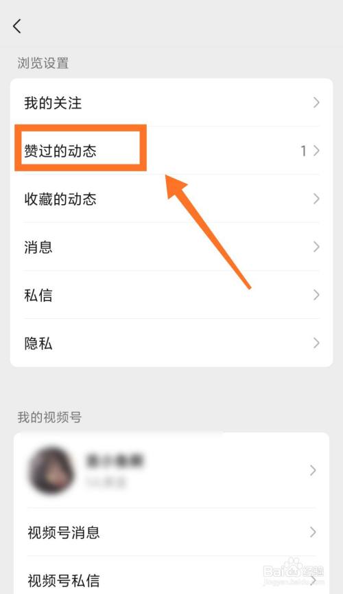 快手点赞注意事项_快手点赞有风险吗_做任务点赞