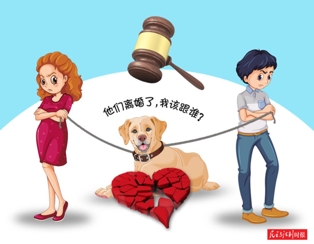 宠物结婚照_结婚带宠物_qq宠物结婚后有什么用