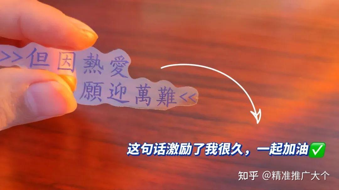 粉丝量少_粉丝量怎么增加_粉丝增长百分比怎么算