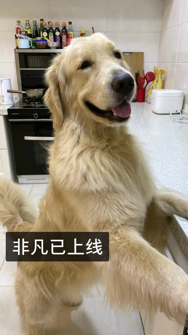 赞赏快手_快手获赞有什么作用_快手获赞一元一百