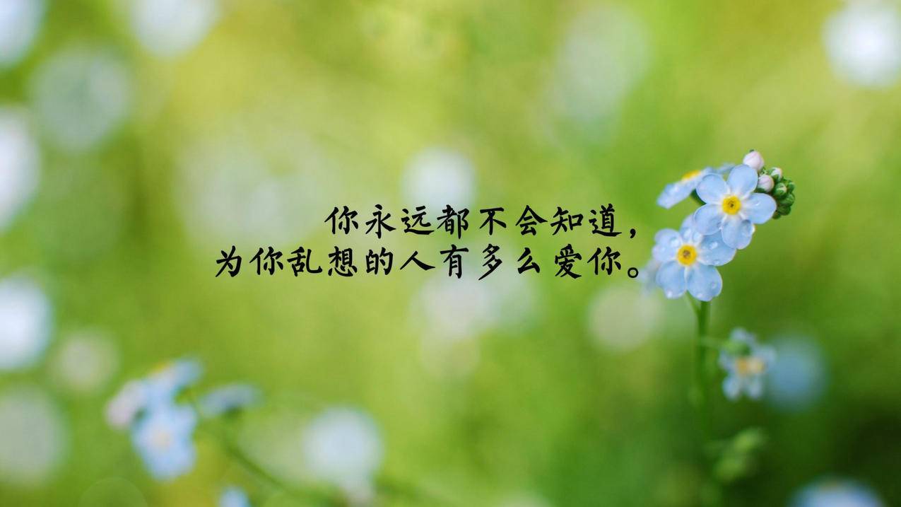 一块钱涨一千粉_一块钱涨一千粉_一块钱涨一千粉