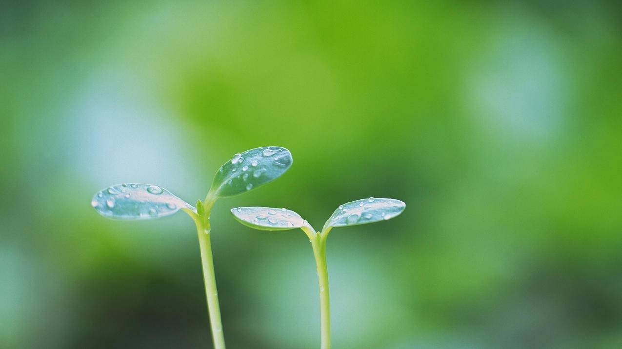 快手赞粉丝24小时领取_每日免费领取快手双击赞_每天快手免费领取50赞网址