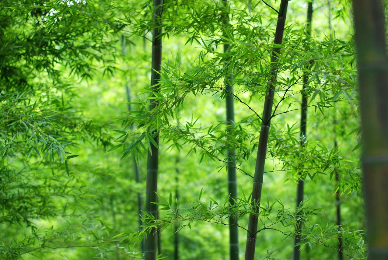 快手点赞自助平台有哪些_快手点赞自助平台有哪些_快手点赞自助平台有哪些