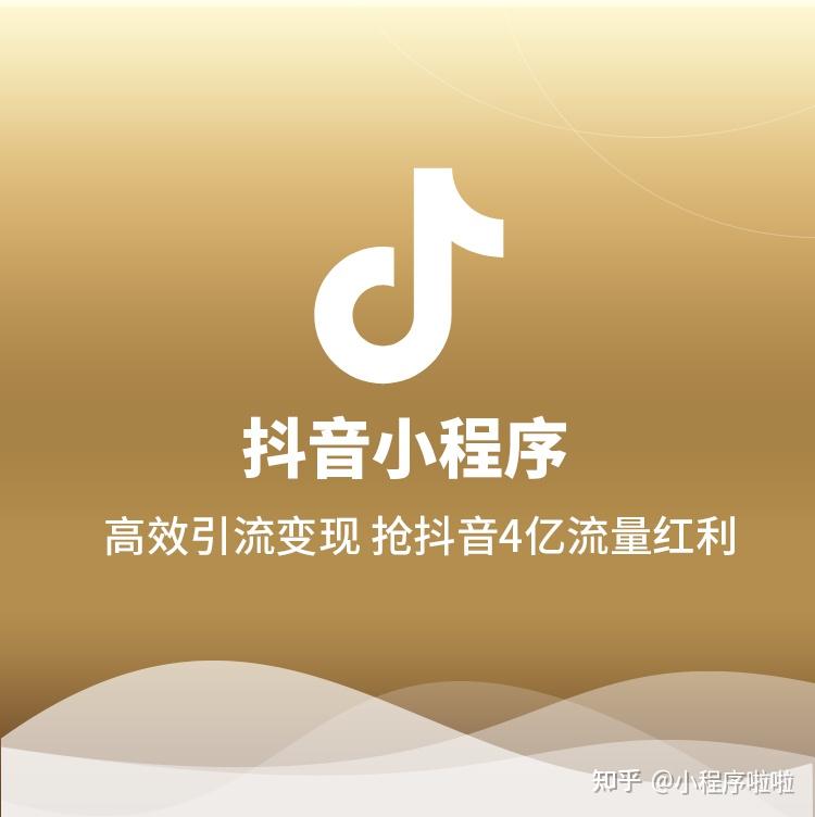 抖音里涨粉丝有钱赚吗_抖音涨粉丝就能赚钱吗_抖音如何付费涨粉丝