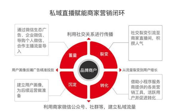 微信视频号业务_微信视频号服务商怎么申请_视频微信业务号是什么