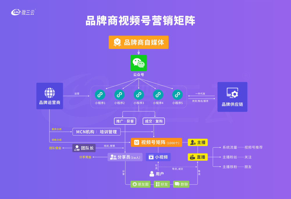 经营视频号_视频号业务_微信视频号业务