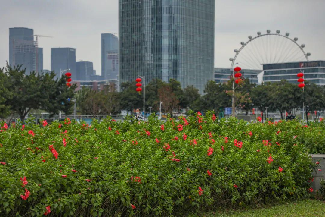 业务平台的定义_dy业务平台_业务平台登录station