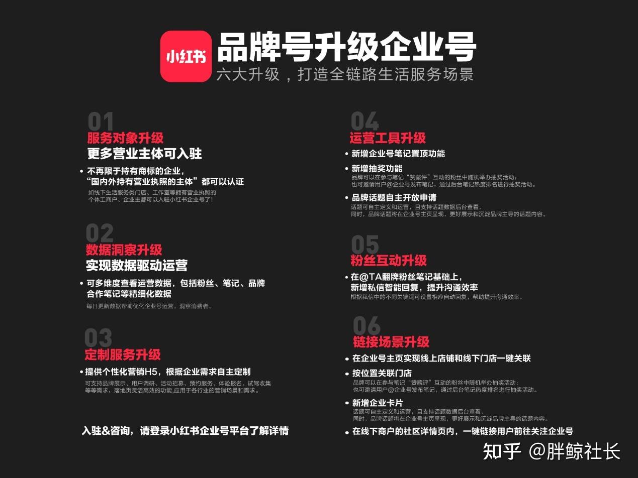 小红书业务模式分析_小红书业务分析_小红书业务分析总结