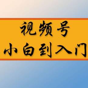 视频号运营是什么_视频号运营服务商_视频商运营服务号是什么