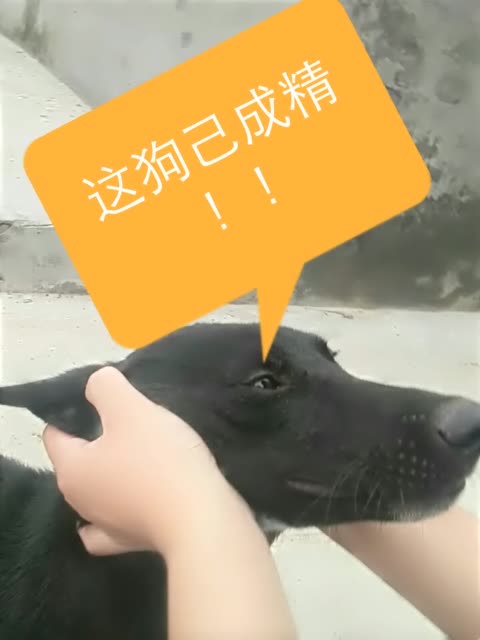 快手怎么买点赞_快手怎么买点赞_快手怎么买点赞