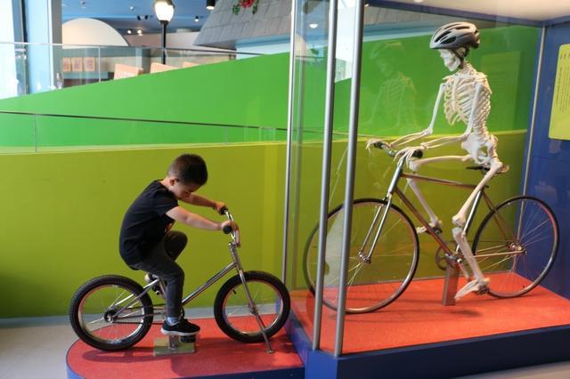 请输入以下验证问题答案,证明你不是外星人^_^_个人征信问题验证答案_学位验证证明和学历验证证明