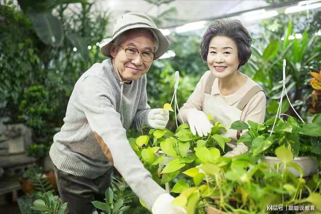 拼多多现金助力会被吞吗_拼多多现金助力到后面就不动了_拼多多助力现金最后0.01解决办法