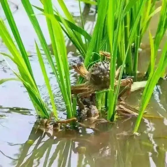 快手刷业务自助下单平台_快手业务秒刷下单平台免费_快手业务24小时在线下单平台免费