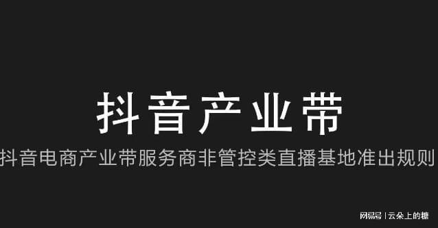 抖音秒下单软件_抖音下单工具_抖音24小时在线下单平台免费