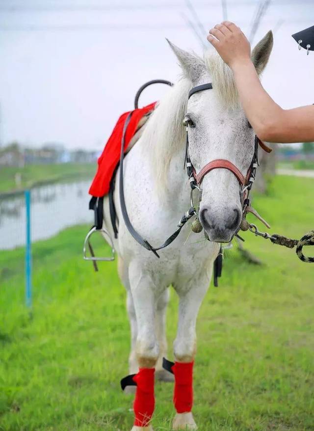 快手24小时自助免费下单软件_快手24小时自助免费下单软件_快手24小时自助免费下单软件